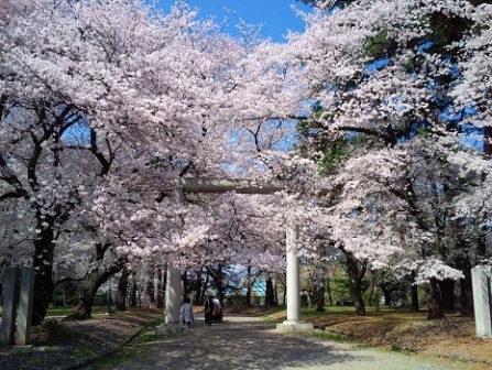 桜の名所21 埼玉 群馬 栃木県のお花見デートスポット よろず堂通信