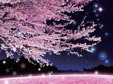 桜の名所22 電車で行ける神奈川県内のお花見デートスポット よろず堂通信