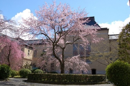 5京都府庁旧本館