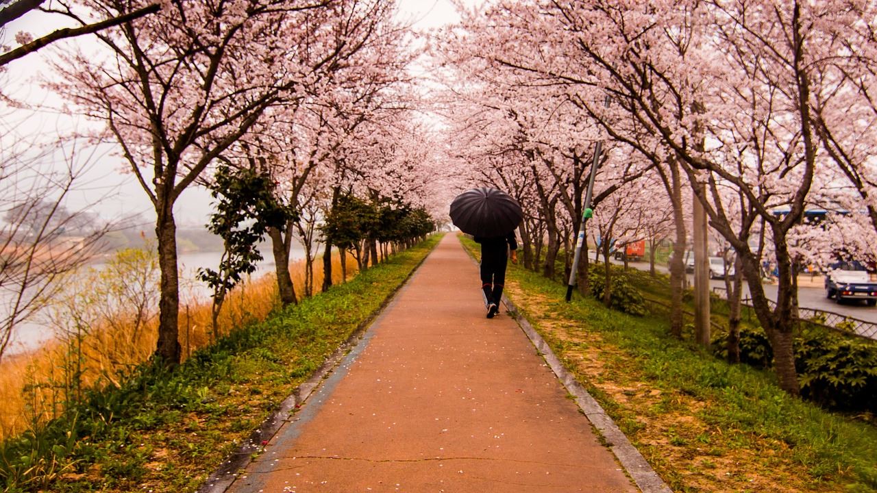 桜の名所21 電車で行ける東京23区のお花見デートスポット よろず堂通信